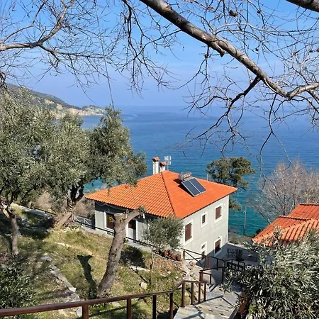 Siki House Syki